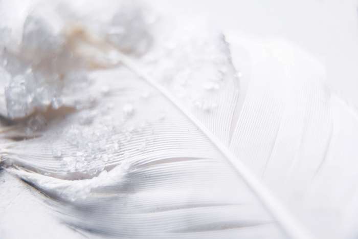 Чем для вас пахнет чистота?