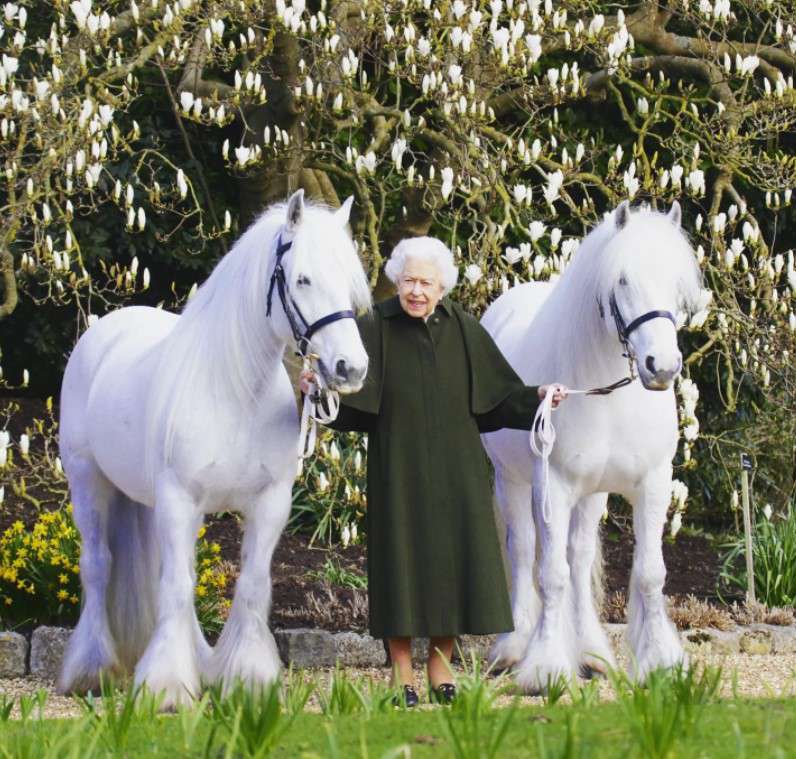 Елизавета II со своими любимыми пони