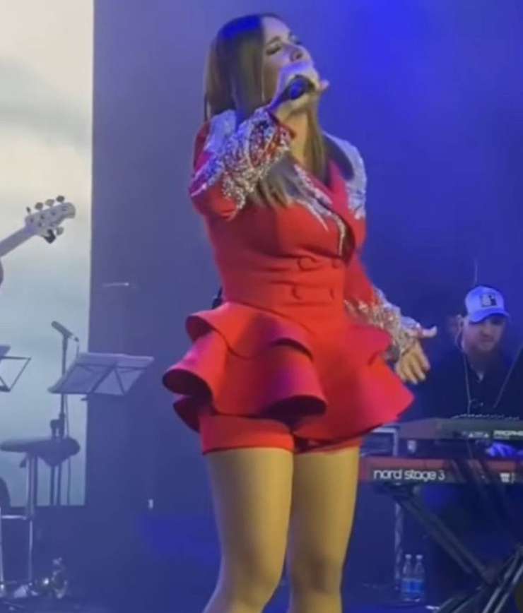 Певица спела на корпоративе в Ереване