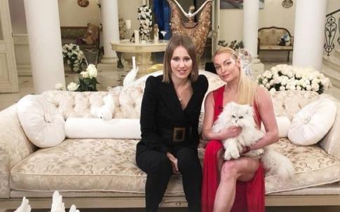 Заклятые подружки: что не поделили Хилтон и Кардашьян и другие скандалы знаменитых приятельниц