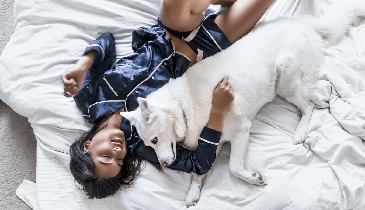 бессонница знакома почти всем