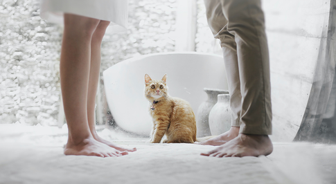 Как разделить единственную квартиру после развода