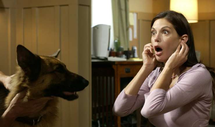 Тери Хэтчер Тери Хэтчер