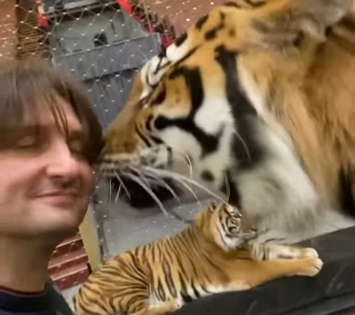 Эдгард Запашный показал, как он целуется с тигром