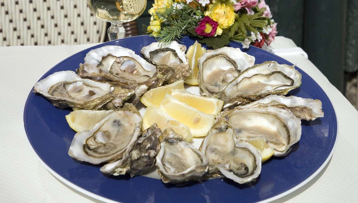 Устрицы