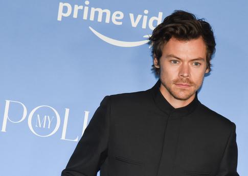 «Это ранит эмоционально»: фанаты не оценили новый образ Гарри Стайлса