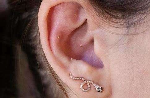 Что такое «Семена для ушей»: украшение или лечение от всех болезней?