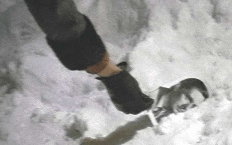 Ирония судьбы Ирония судьбы