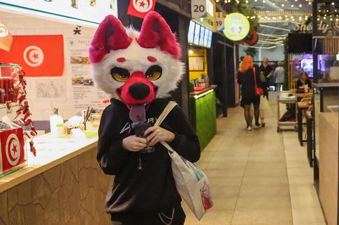 В России хотят запретить пропаганду квадроберства