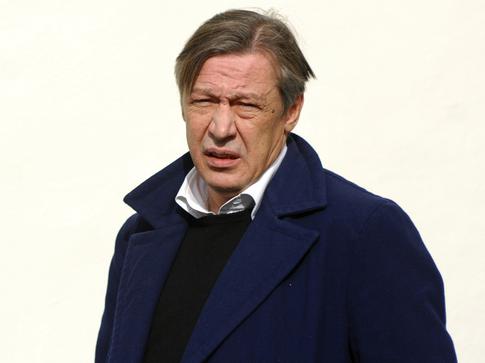 Адвокат Михаила Ефремова: прошения о досрочном освобождении еще не были поданы