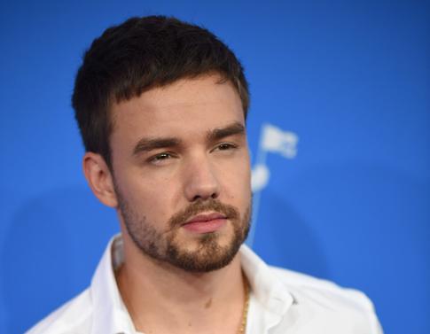 Смерть Лиама Пейна: 65 тысяч человек требуют принять закон о защите звезд