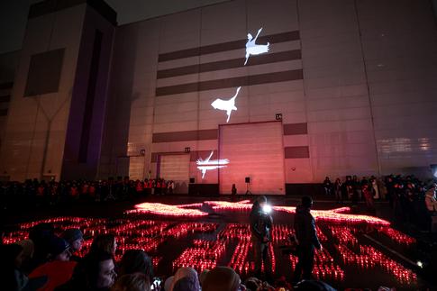 Звезды поддержали акцию по сдаче крови для пострадавших в «Крокусе»