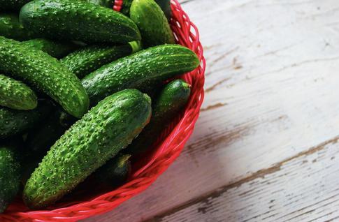 Как вырастить крупные и сочные огурцы: лайфхаки на зависть соседу