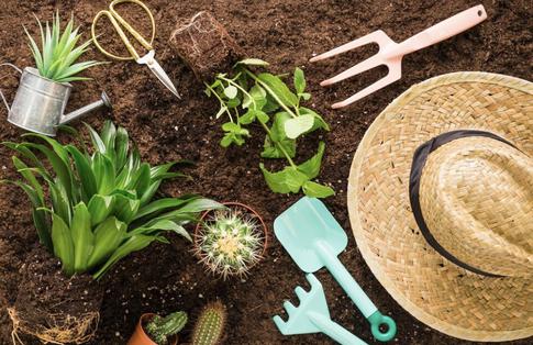 Вещи, которые вам не пригодятся на даче — а вы их все равно берете