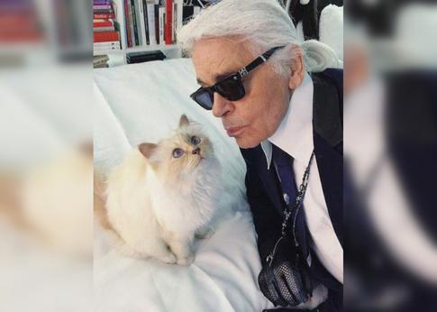 Лагерфельд, Ариана Гранде и другие звезды, чьи питомцы живут по-королевски