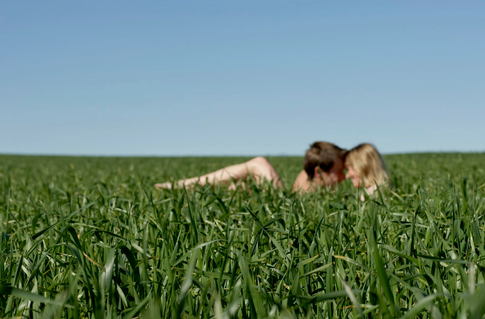 Секс на природе: советы и главные правила безопасности