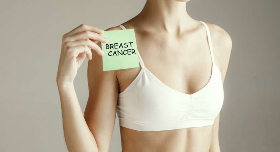 master1305 / ru.freepik.com