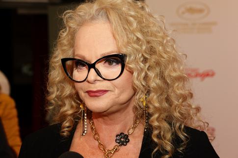 «Развели на 110 млн рублей»: Обманувшими Долину мошенниками оказались украинцы