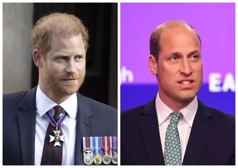 Принцы Гарри и Уильям впервые встретились за долгое время