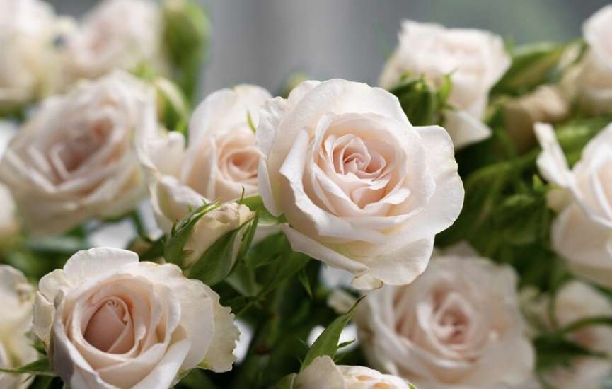 freepik / ru.freepik.com