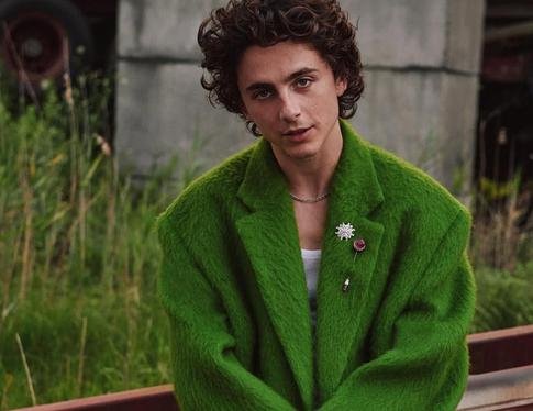 Тимоти Шаламе приехал на премьеру фильма о Бобе Дилане в Лондоне на велосипеде