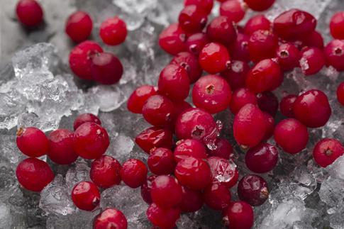 Клюква vs брусника: какая ягода лучше для здоровья в сезон простуд