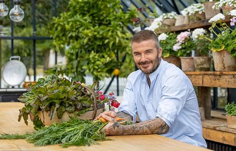 Дэвид Бекхэм превратил дом в Cotswolds в настоящую ферму: фото с огорода