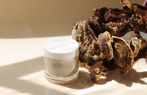 Ферментированные грибы: как они стали новым громким трендом в уходе за кожей