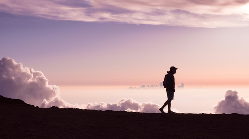 Плоский живот и упругий торс: как накачать пресс во время ходьбы и без спортзала