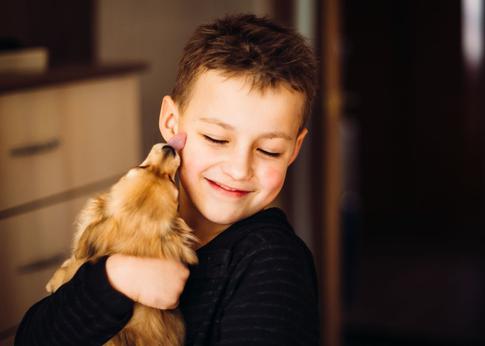 Станут душой семьи: кинолог перечислил самые добрые породы собак