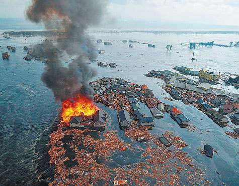 Более 9 тыс. японцев считаются пропавшими без вести. Более 9 тыс. японцев считаются пропавшими без вести.