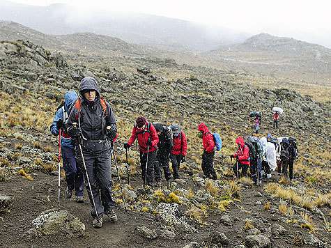 фото: FOTOBANK.COM/Getty News