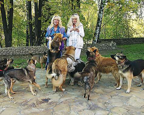 фото: Владимир Чистяков