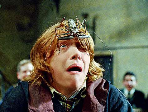 кадр из фильма