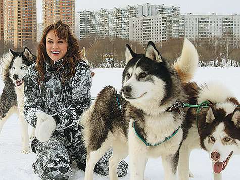 В отличие от возбужденных фанатов собаки породы хаски проявили максимум воспитанности и вежливо позировали с актрисой после того, как прокатили ее на санях. Фото: Геннадий Авраменко. 