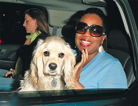 У Опры нет детей, зато есть пятеро собак. Коккер-спаниель Сэйди каждый день сопровождал ее на работу, проводя вместе с телеведущей время в офисе.