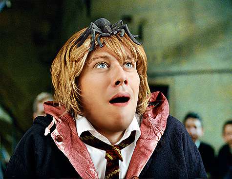 фото: Дарья Веретина, Сергей Козловский