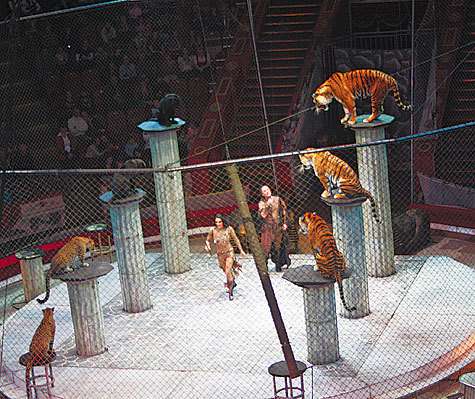 Фото: Александр Славуцкий