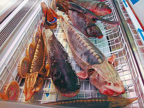 Средиземноморская диета бережет сердце.