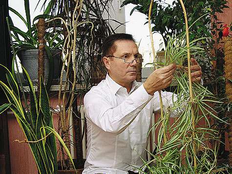 фото: Владимир Чистяков фото: Владимир Чистяков