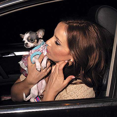 фото: Геннадий Авраменко