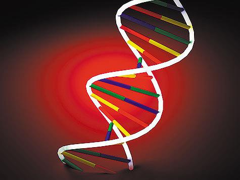 Соевая революция