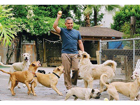 Антон Комолов: «Я люблю животных, и поэтому дома у меня никто не живет»