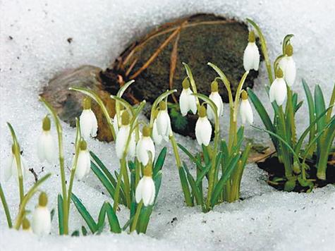 Бурная весна