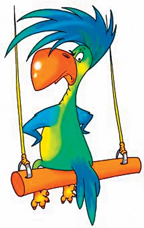 Из жизни попугаев