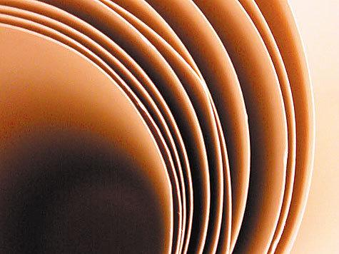 Быт обит обоями