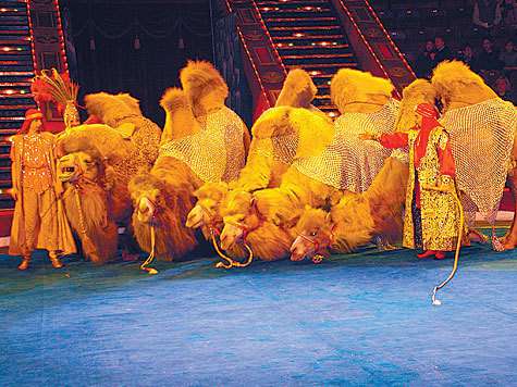 фото: Александр Славуцкий