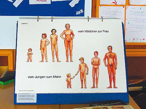 По таким пособиям учатся дети в Германии.