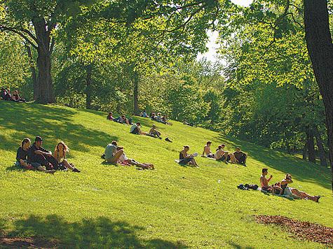 Парки в запарке