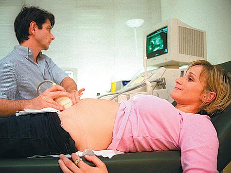 Жизнь на ладони